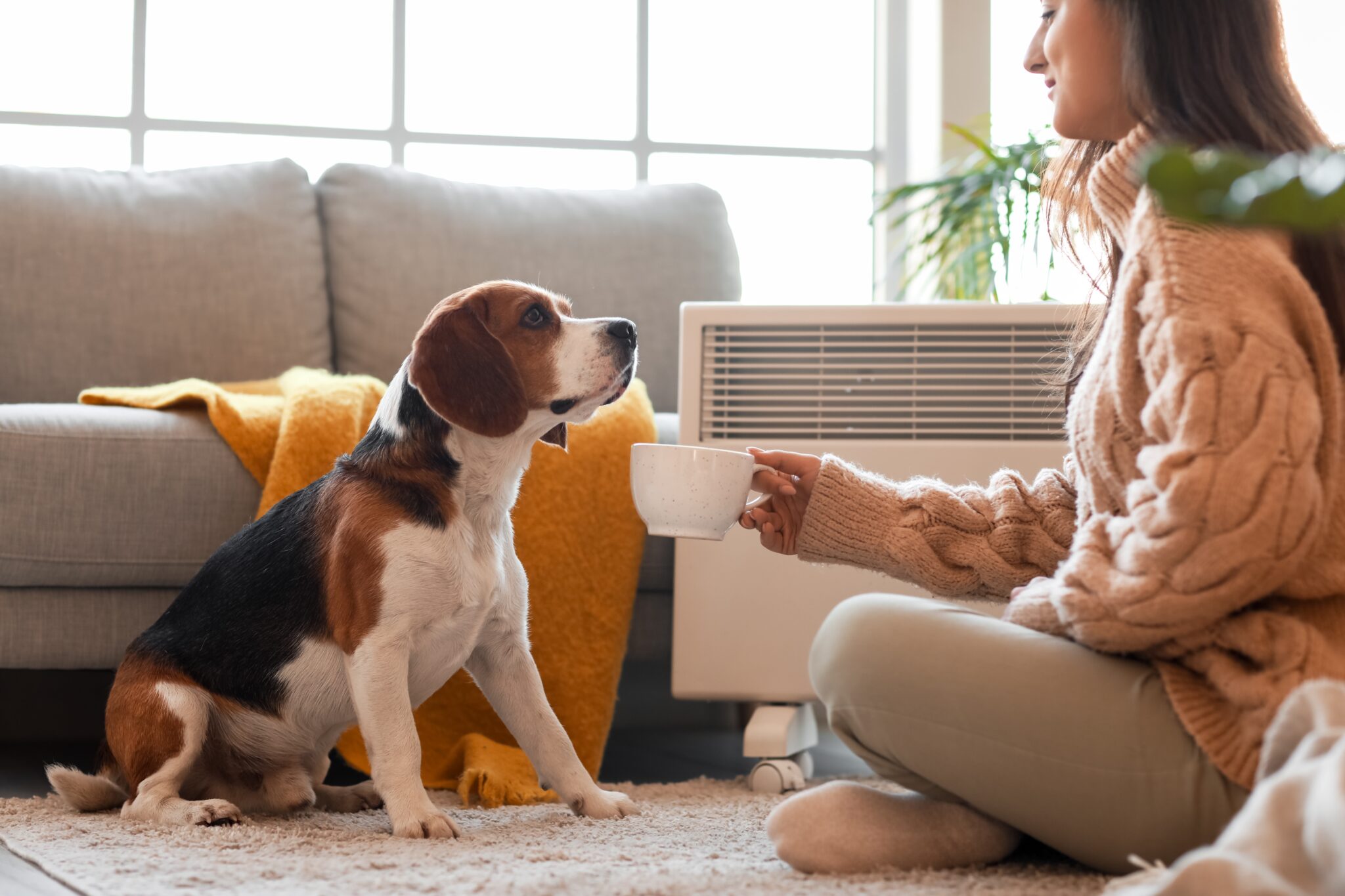 Woman,And,Cute,Beagle,Dog,Near,Convector,Heater,At,Home